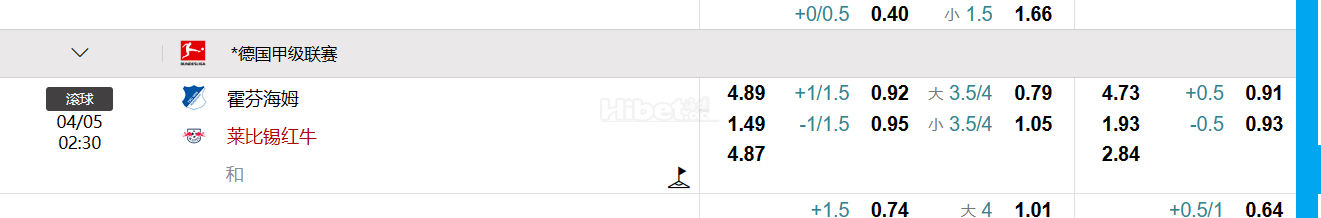 德国甲级联赛   霍芬海姆  VS莱比锡红牛